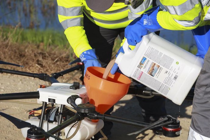 Archivo - Un dron interviene en la campaña para el tratamiento contra los mosquitos que propagan el Virus del Nilo Occidental (VNO) sobre un arrozal.