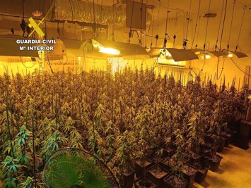 La Guardia Civil desmantela diez centros de producción de marihuana e interviene 2.375 plantas en Cogollos Vega