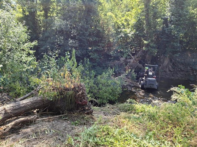 Un momento de la retirada de un árbol caído en el cauce del Eresma.