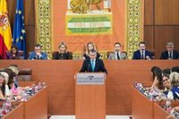 La Diputación Permanente del Parlamento debate este jueves un posible Pleno extraordinario por el incendio de Niebla