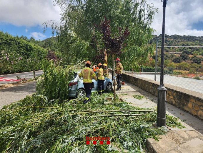 Imagen de Bombers realizando labores de trabajo