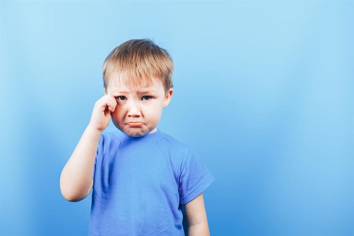 Archivo - Un estudio preclínico explica la anhedonia causada por un trauma infantil y sitúa su origen en el hipocampo