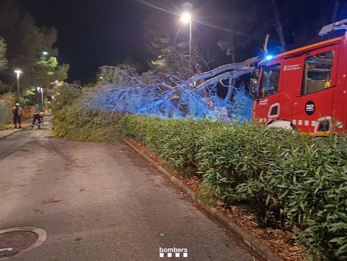 Los Bombers de la Generalitat retiran un árbol caído tras las tormentas en Catalunya