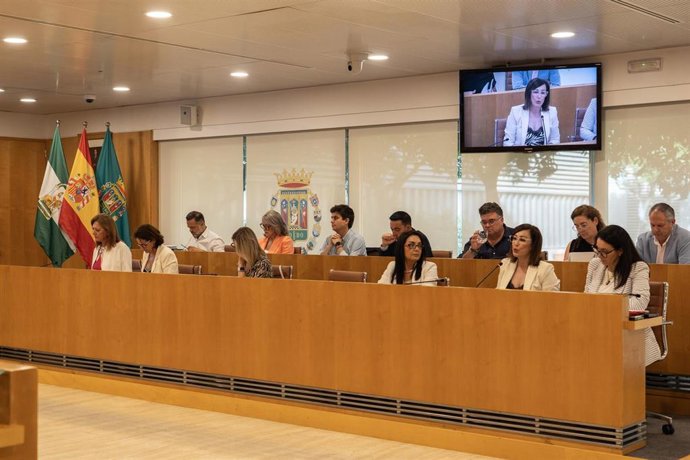 La diputada del Área de Cohesión Social e Igualdad de la Diputación de Sevilla, María Encarnación Fuentes, durante la resolución de las concesión de doce millones a los ayuntamientos de la provincia por el Plan de Prevención de Exclusión.