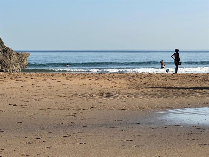 Archivo - Bañistas en una playa vizcaína