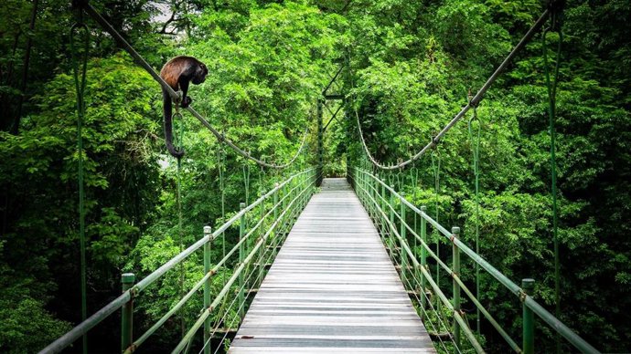 Imagen de Costa Rica