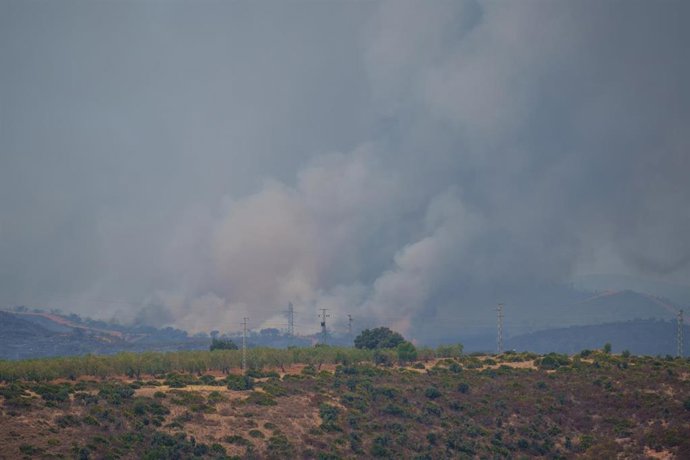 Imágenes del incendio de Niebla.