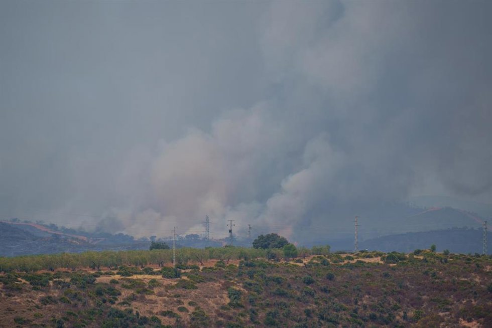 Imágenes del incendio de Niebla.