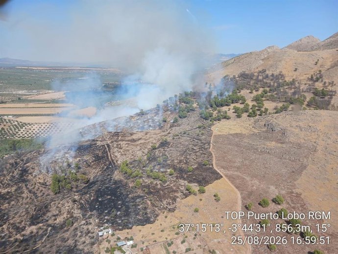 Estabilizado el incendio que desde el mediodía de este martes afecta al paraje de Barranco Utrera en la localidad de Soportújar, en la Alpujarra granadina.