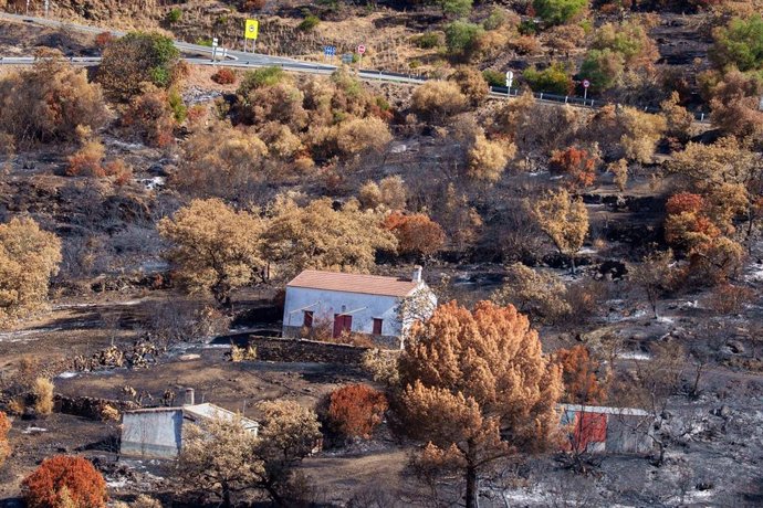 Entorno desolado por el incendio de Niebla en El Berrocal.  