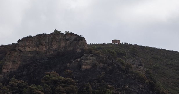 C. Valenciana