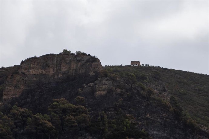 Terreno quemado por el incendio, a 23 de agosto de 2026, en Gátova