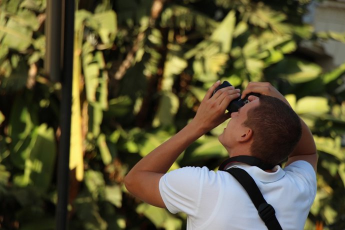Archivo - Turista haciendo fotos