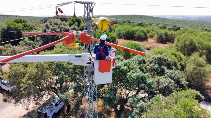 Endesa prueba en Huelva y Cataluña nuevas soluciones tecnológicas para proteger a las aves en su red eléctrica
