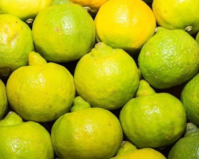 Fruta
