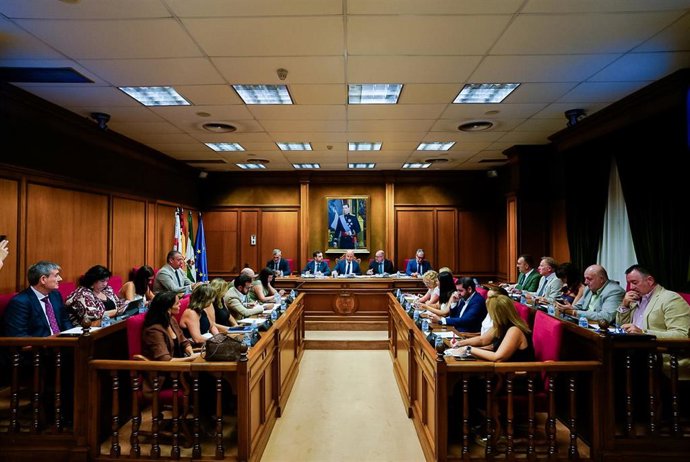 Pleno de la Diputación de Almería.