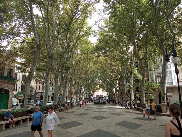 Paseo del Borne.