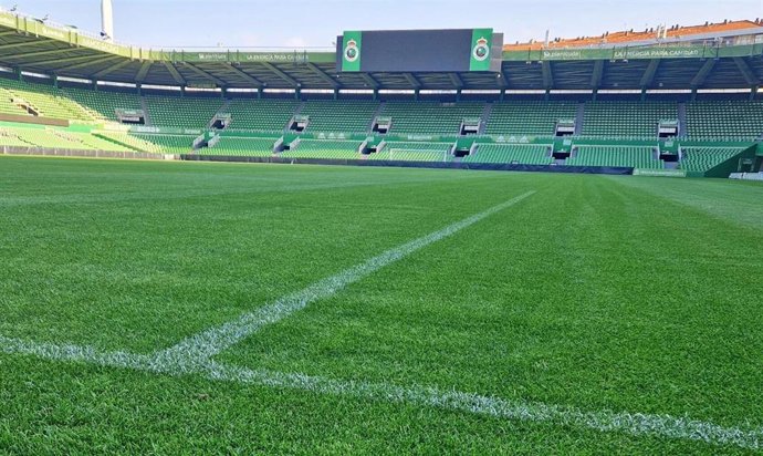 Archivo - Césped de los Campos de Sport