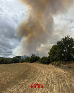 Bombers trabaja con 15 dotaciones en un incendio forestal y agrícola en Sarral (Tarragona)