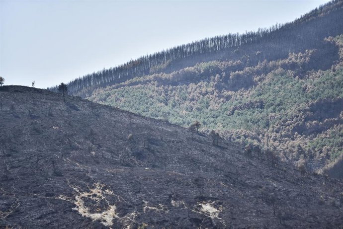 Vista de zonas calcinadas por el incendio de Riglos, a 19 de agosto de 2026, en Huesca, Aragón (España). El Centro de Coordinación Operativa Integrada (CECOPI) acordó, en su reunión del martes, 18 de agosto, el realojo, este miércoles, 19 de agosto, de lo