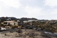 El Ayuntamiento de Bédar (Almería) tramita 42 solicitudes de ayudas por daños derivados del incendio de Los Gallardos