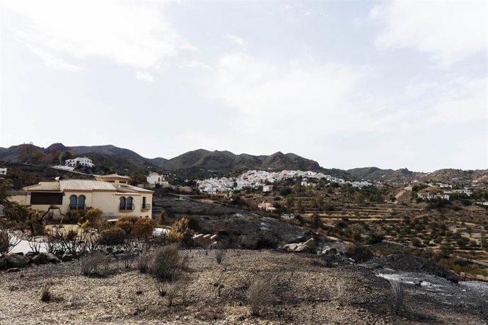 Archivo - Zonas afectadas por el incendio forestal de Los Gallardos (Almería).  