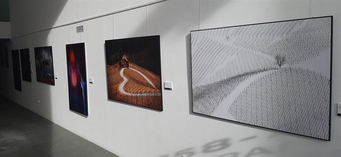 Exposición 'El Rioja y los 5 sentidos'