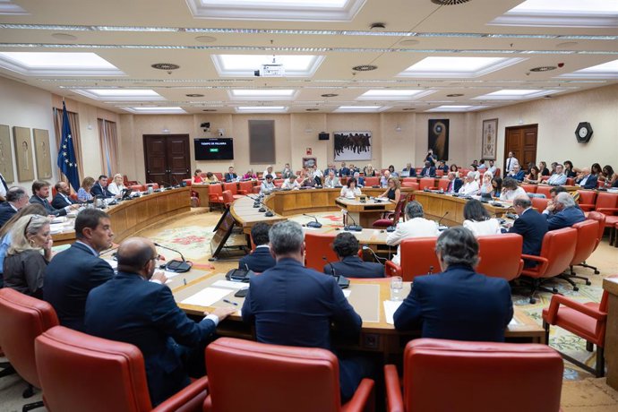 Reunió de la Diputació Permanent del Congrés dels Diputats