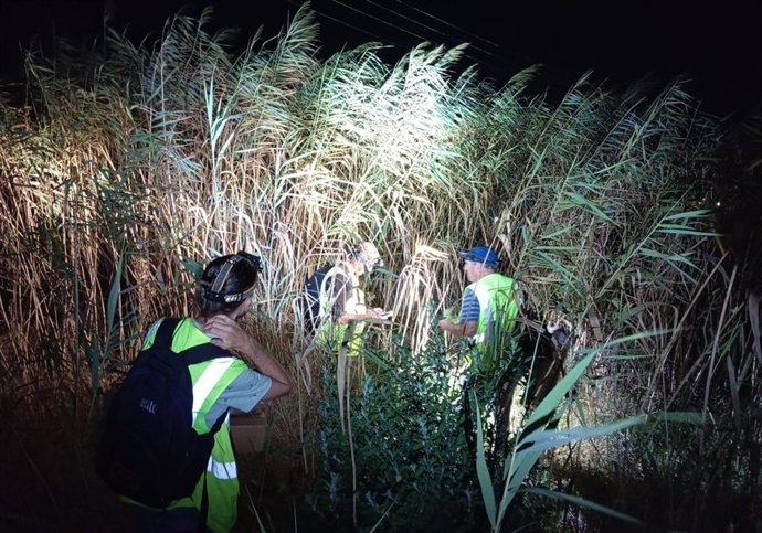 Prospecciones nocturnas para la detección de ejemplares de camaleón en una zona de Rota donde se construirán próximamente más de 700 viviendas.