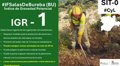 El incendio de Salas de Bureba (Burgos) pierde intensidad y permite el ataque directo de medios desplegados