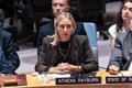 Las Agencias Internacionales de Desarrollo afirman ante la ONU que "la Junta de Paz de Gaza está fracasando"