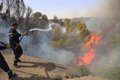 Al menos doce muertos y más de 50 quemados en incendios en el noreste de Argelia