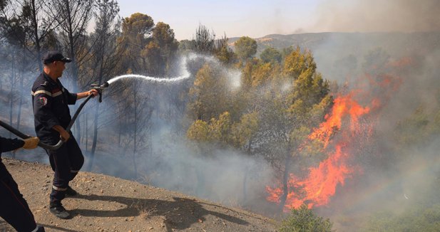 Al menos doce muertos y más de 50 quemados en incendios en el noreste de Argelia