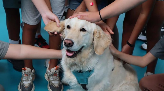 Archivo - Imagen de recurso de niños acariciando un perro.