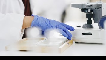 Investigación