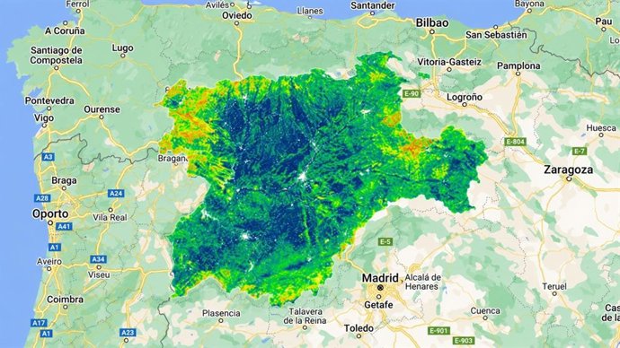 El 30% de la superficie quemada en España este año ha afectado a espacios naturales protegidos, según la ULE.