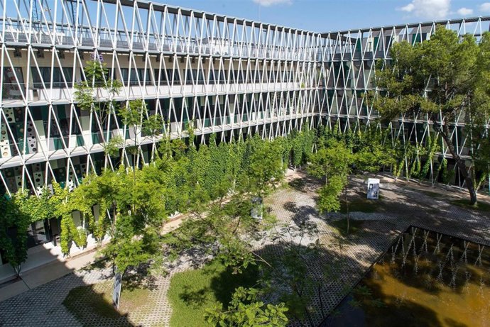 Diez 'spin-offs' de la Región conectan con universitarios para impulsar proyectos reales de innovación