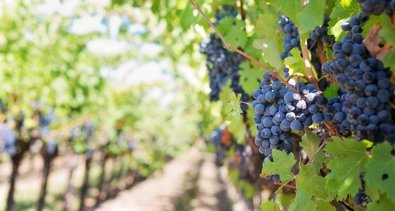 La Rioja