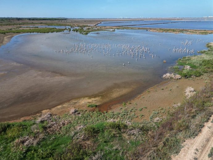 Archivo - El humedal de Cetina (Puerto Real, Cádiz), un complejo costero heterogéneo que combina salinas, marismas naturales y zonas lagunares sobre una superficie de más de 1.290 hectáreas.