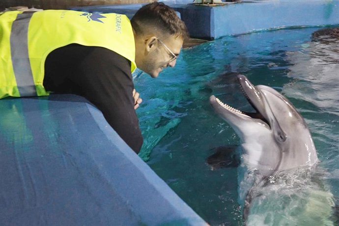Uno de los cuidadores con la beluga
