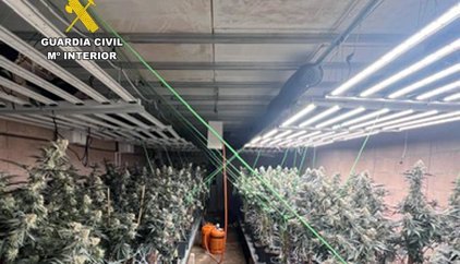 La Guardia Civil desarticula una plantación de marihuana en una nave de Jumilla y detiene a su responsable