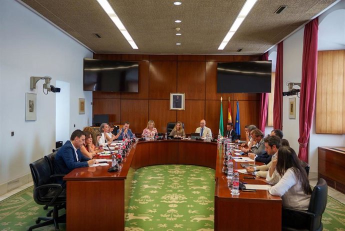 Sesión de la Diputación Permanente del Parlamento andaluz.