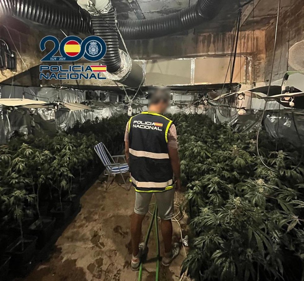 La Policía Nacional desmantela en Torrent (Valencia) una plantación de marihuana en el interior de un chalet y detiene a dos personas