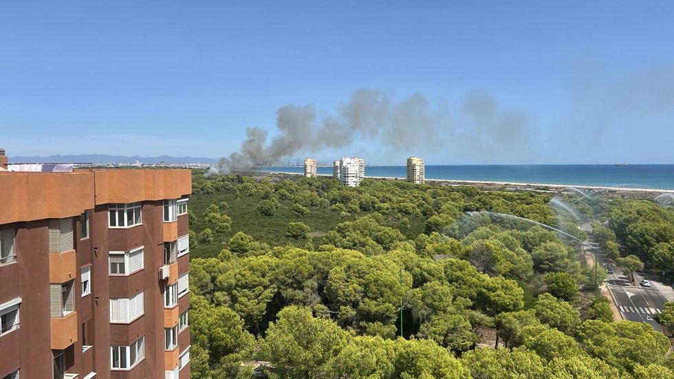Incendio en la Gola de Pujol, en El Saler (València)