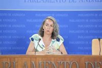 Adelante lamenta el rechazo al Pleno extraordinario por el incendio de Niebla: "Impropio de un gobierno responsable"