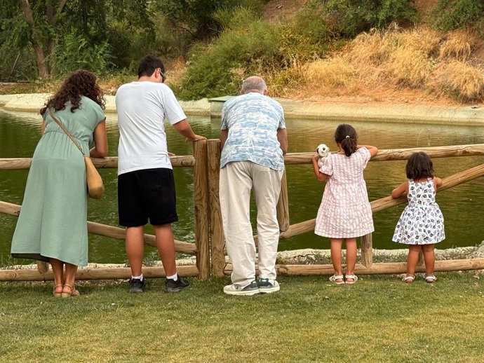 Familia, menores, infancia,