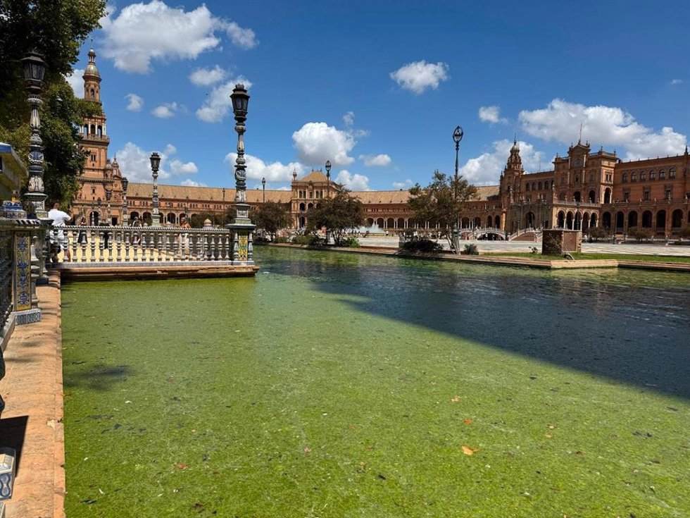 La ria de la PLaza de España con verdina, diez días después de su llenado.