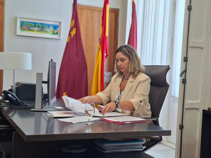 La consejera de Política Social, Familias e Igualdad, Conchita Ruiz, durante su participación por videoconferencia en la Conferencia Sectorial de Infancia y Adolescencia