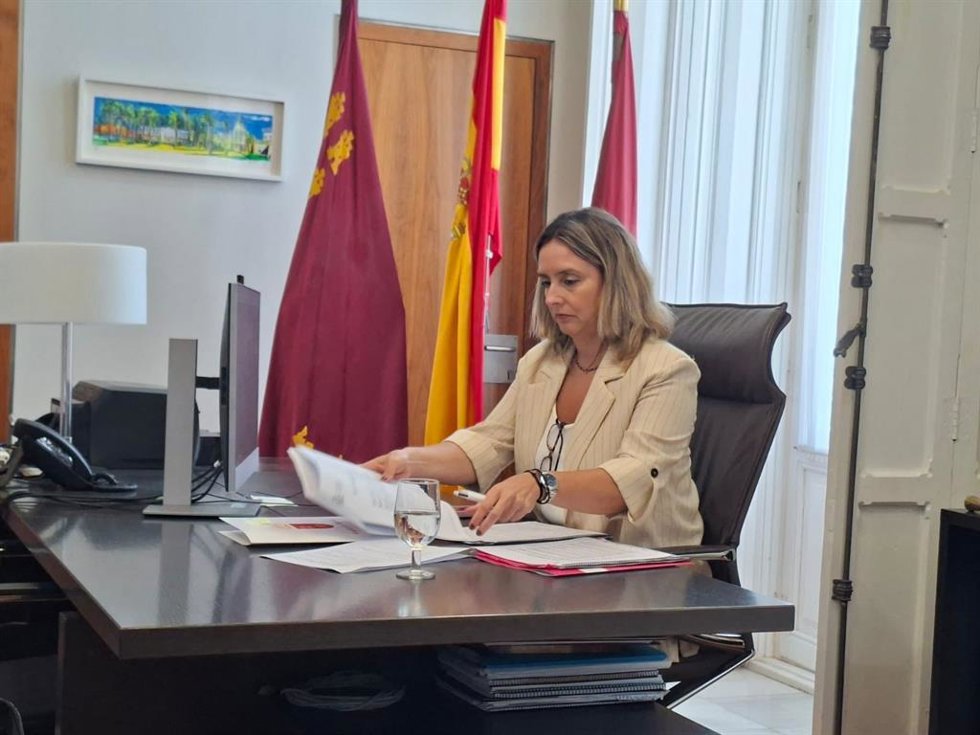 La consejera de Política Social, Familias e Igualdad, Conchita Ruiz, durante su participación por videoconferencia en la Conferencia Sectorial de Infancia y Adolescencia