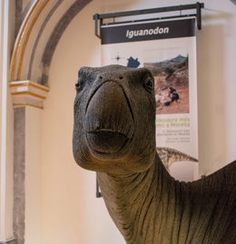 Identifican la primera infección bacteriana de origen cutáneo en fósil de un dinosaurio que vivió en Morella